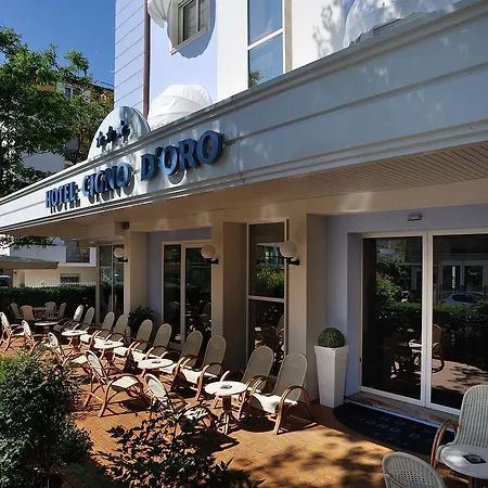 Cigno D'oro Hotel 3*
